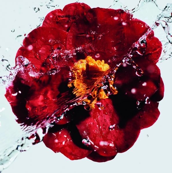 Review N°1 de Chanel L'Eau Rouge - Mùi hương của Skin care - A  perfume-catcher